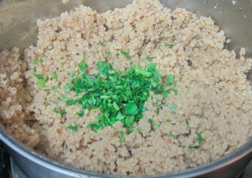 quinoa recipe